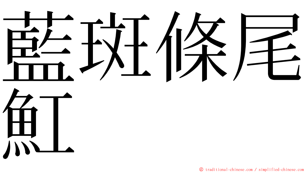 藍斑條尾魟 ming font