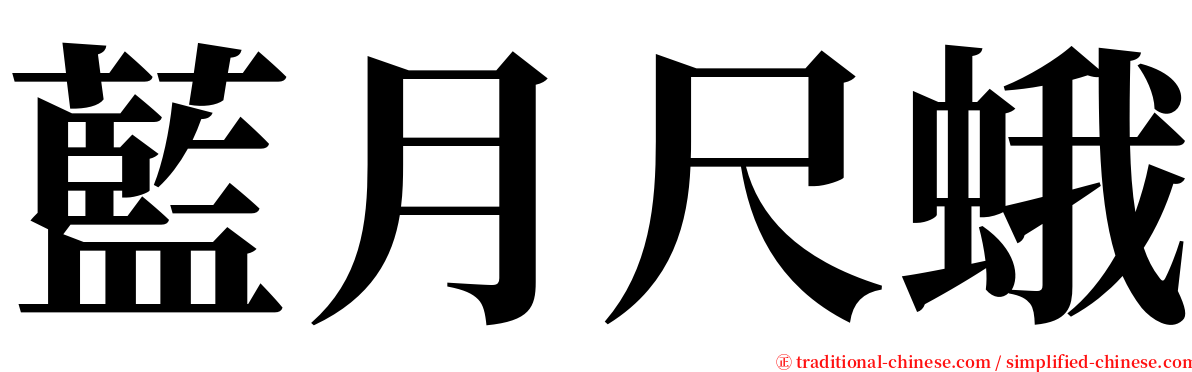 藍月尺蛾 serif font