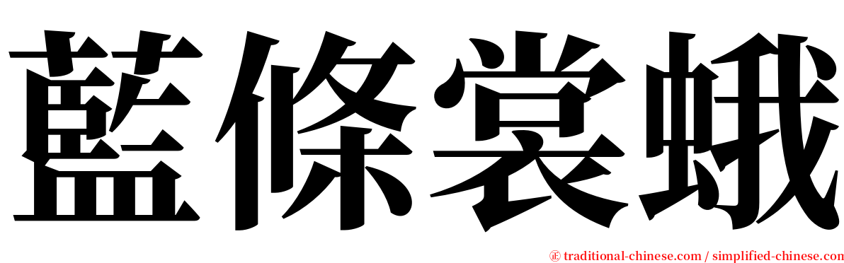 藍條裳蛾 serif font