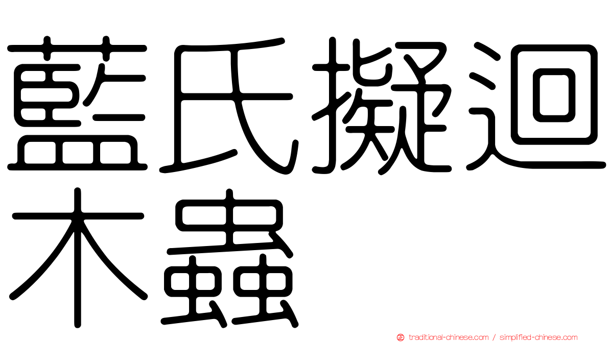 藍氏擬迴木蟲