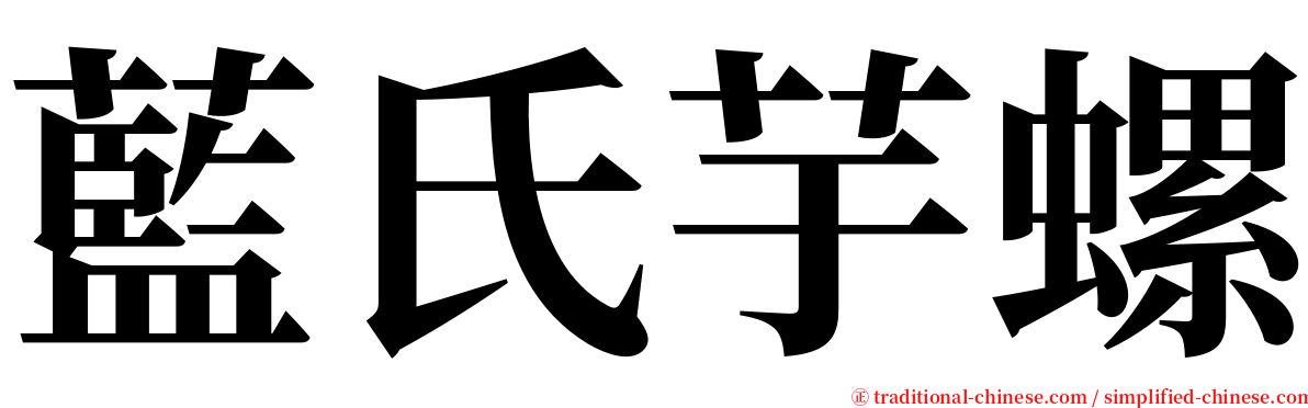 藍氏芋螺 serif font