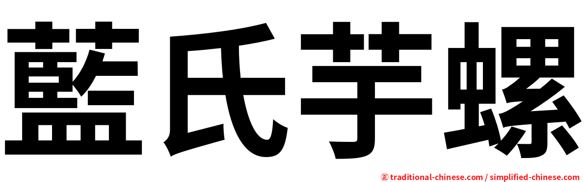 藍氏芋螺