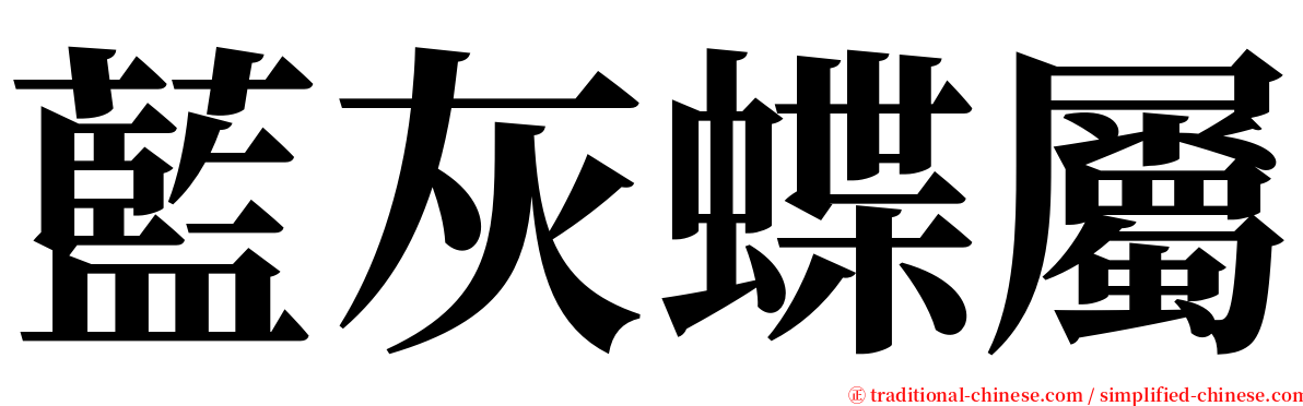 藍灰蝶屬 serif font