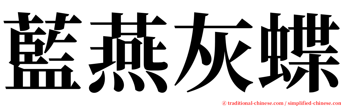 藍燕灰蝶 serif font