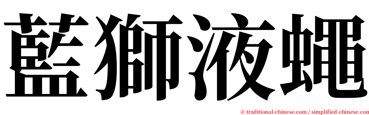 藍獅液蠅 serif font