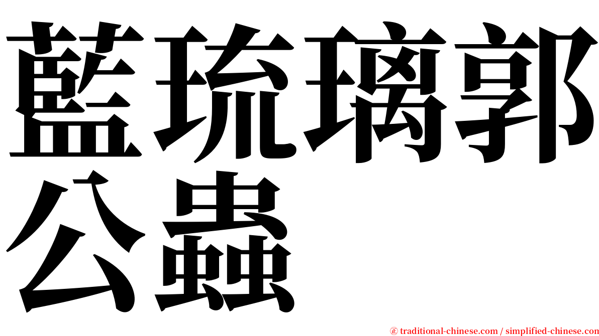 藍琉璃郭公蟲 serif font