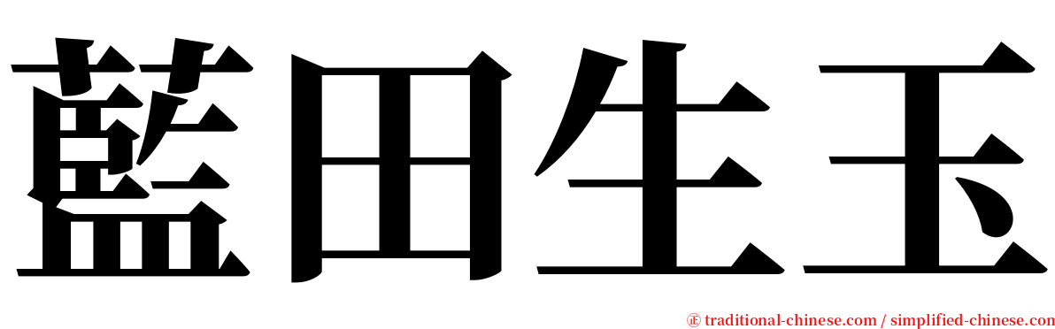 藍田生玉 serif font