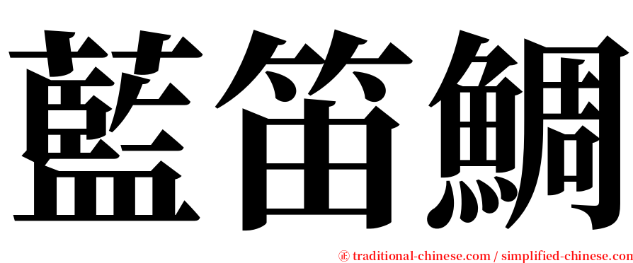 藍笛鯛 serif font