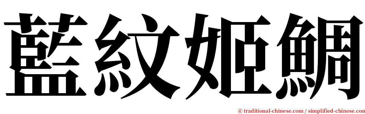 藍紋姬鯛 serif font