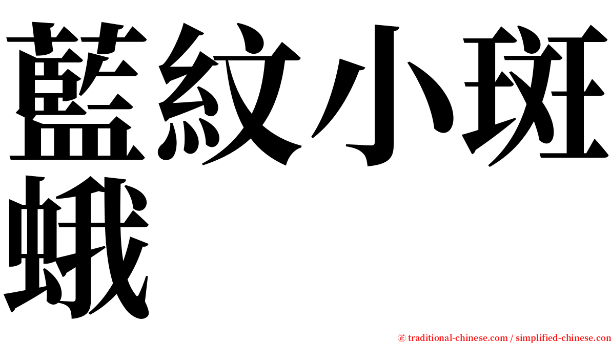 藍紋小斑蛾 serif font