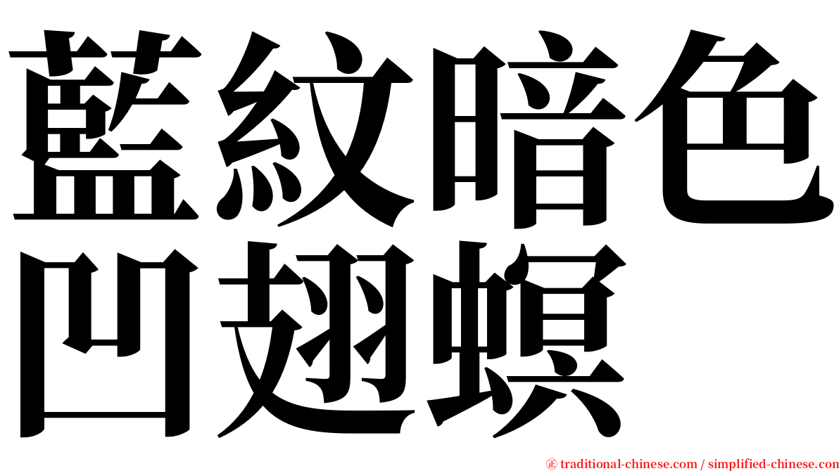 藍紋暗色凹翅螟 serif font