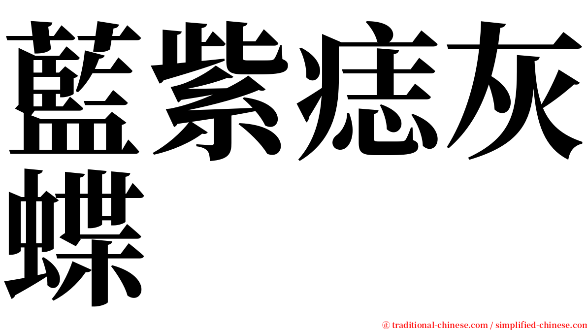 藍紫痣灰蝶 serif font