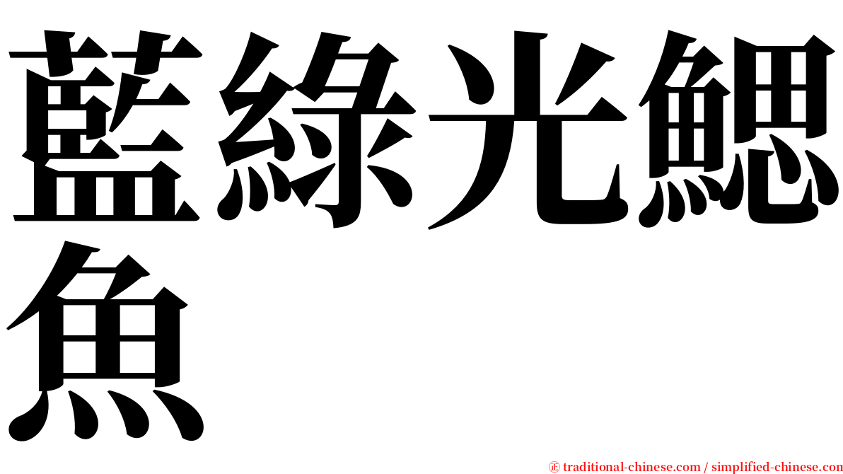 藍綠光鰓魚 serif font