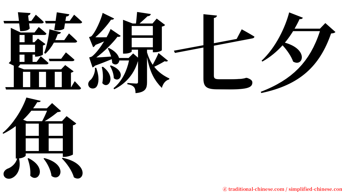 藍線七夕魚 serif font