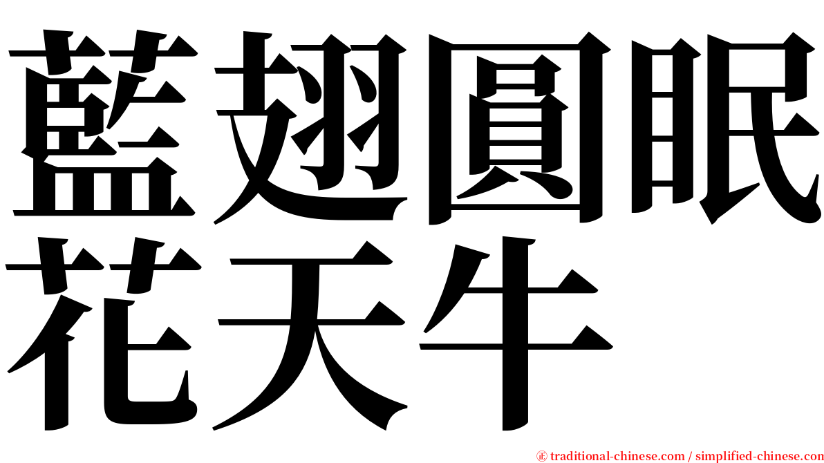 藍翅圓眠花天牛 serif font