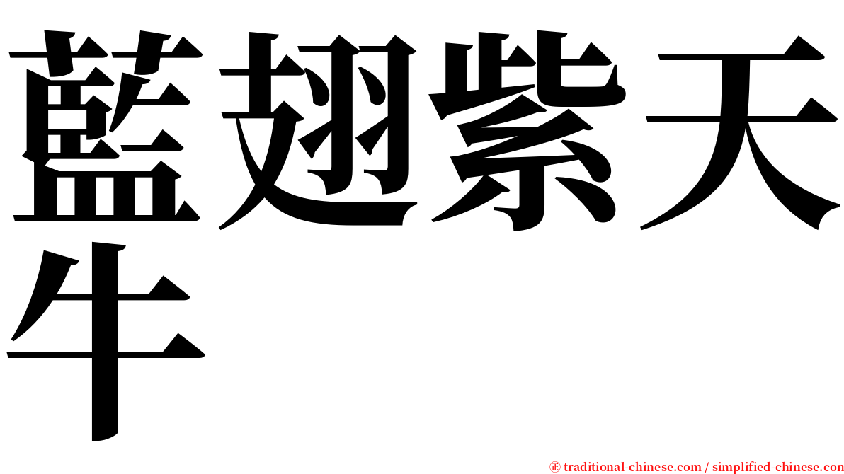 藍翅紫天牛 serif font