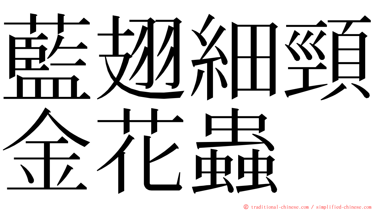 藍翅細頸金花蟲 ming font