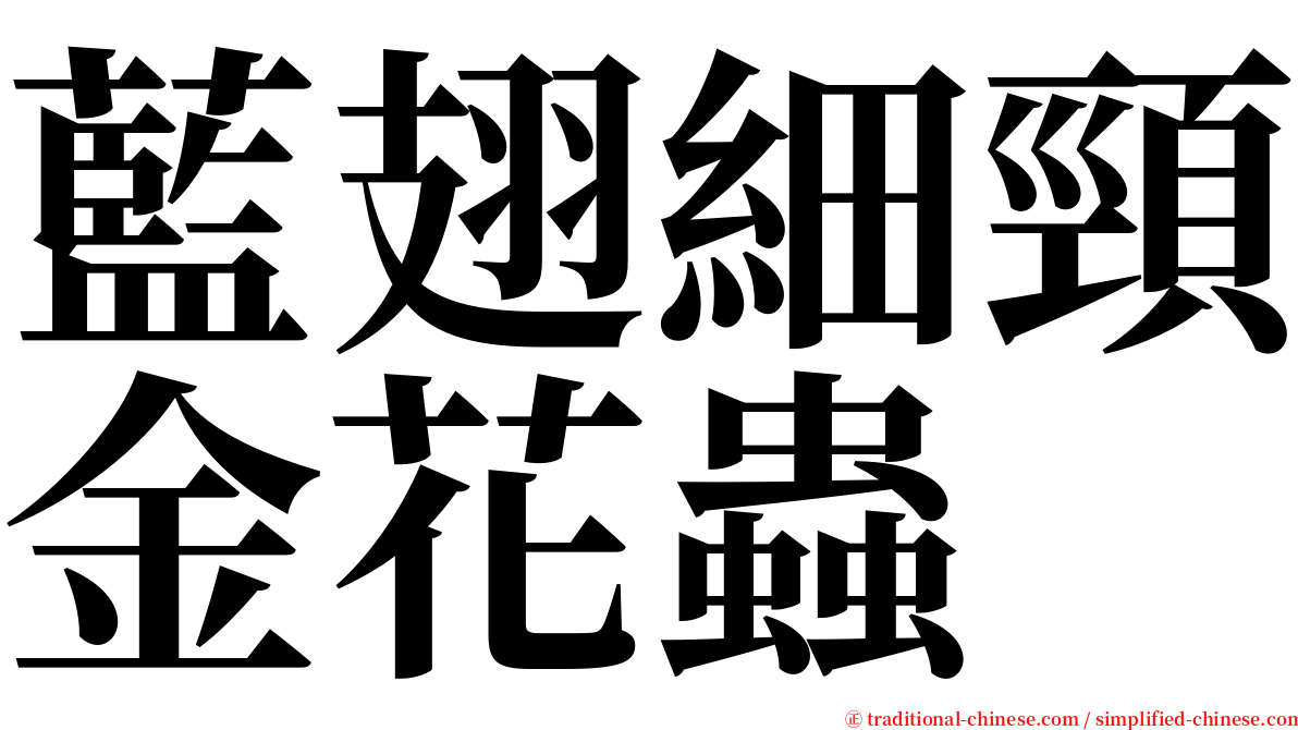 藍翅細頸金花蟲 serif font