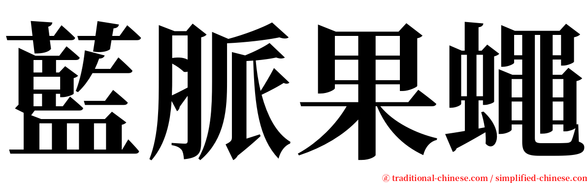 藍脈果蠅 serif font