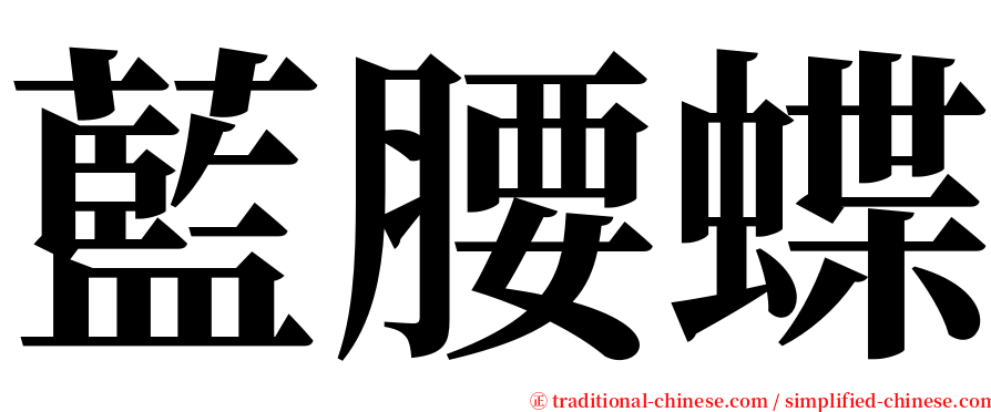 藍腰蝶 serif font
