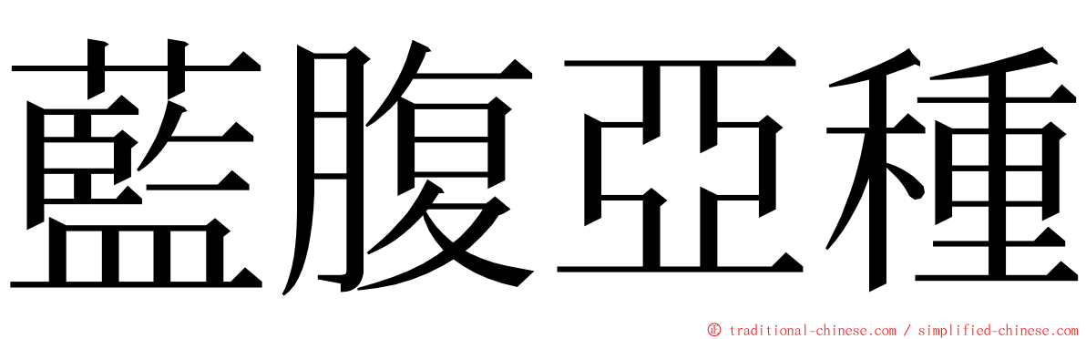 藍腹亞種 ming font