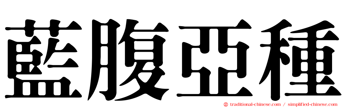 藍腹亞種