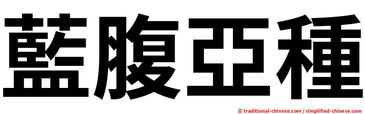 藍腹亞種