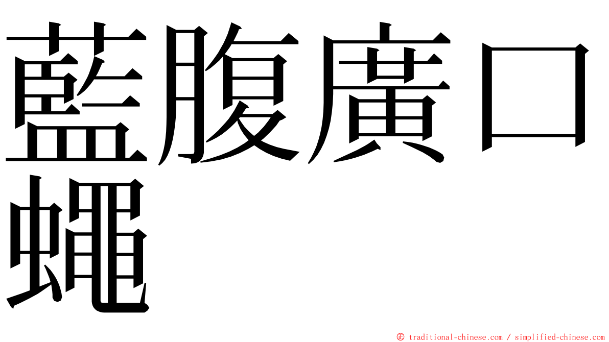 藍腹廣口蠅 ming font