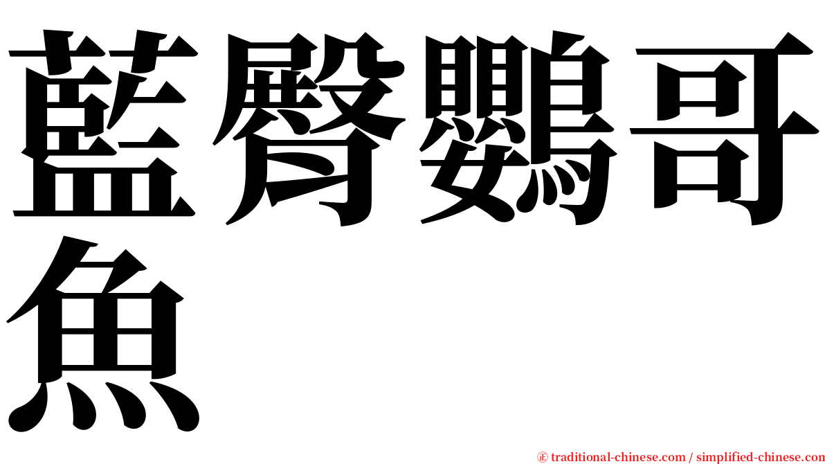 藍臀鸚哥魚 serif font