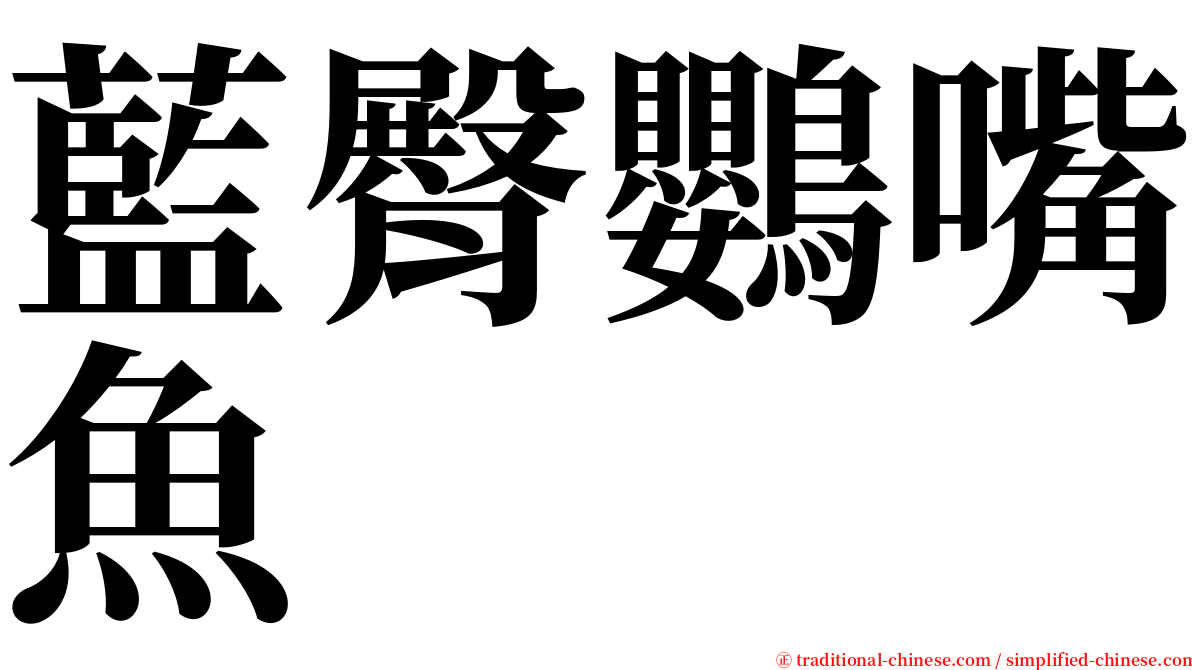 藍臀鸚嘴魚 serif font