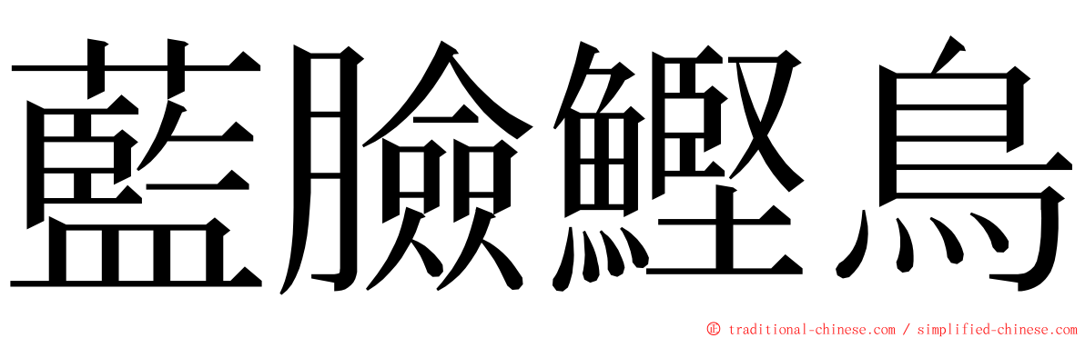 藍臉鰹鳥 ming font