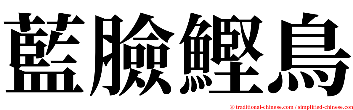 藍臉鰹鳥 serif font