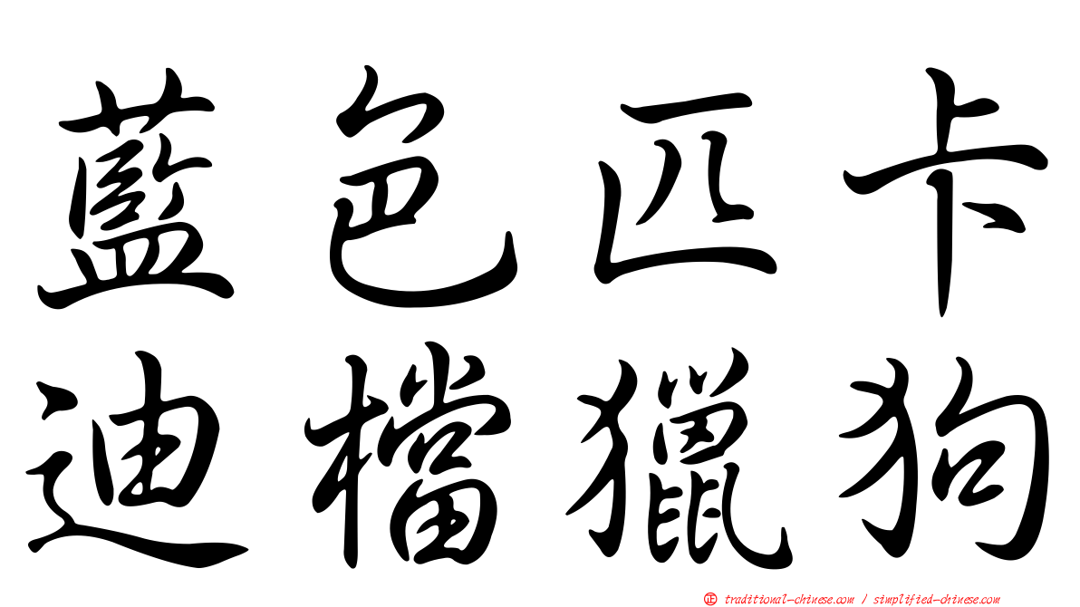 藍色匹卡迪檔獵狗