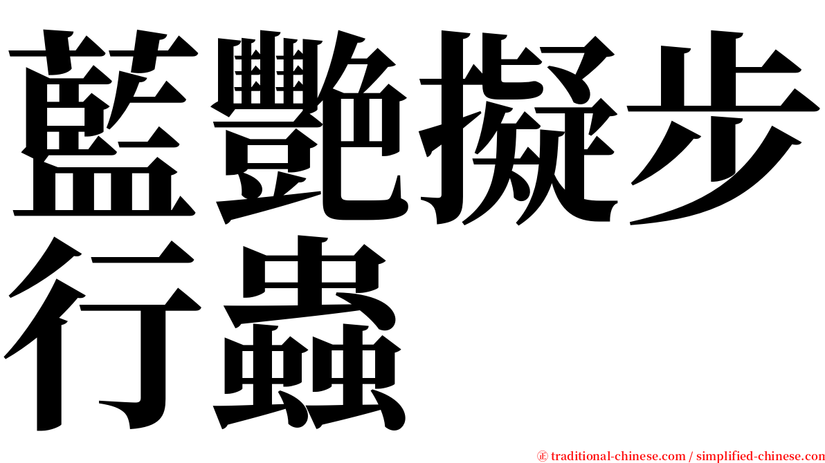 藍艷擬步行蟲 serif font