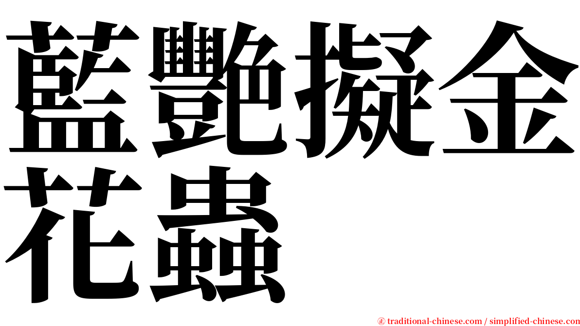 藍艷擬金花蟲 serif font