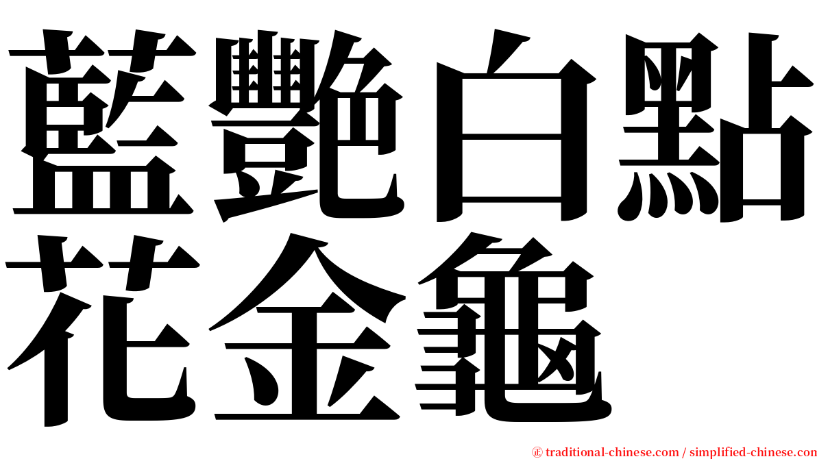 藍艷白點花金龜 serif font