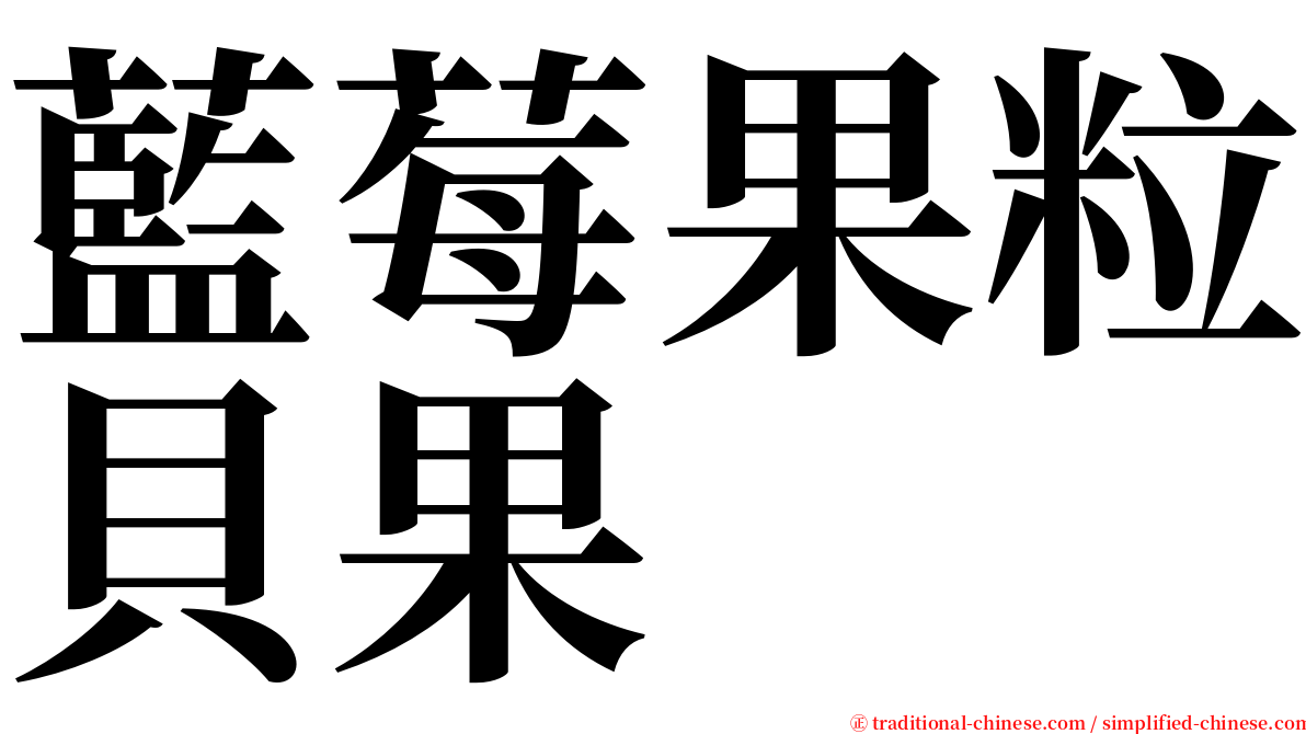 藍莓果粒貝果 serif font