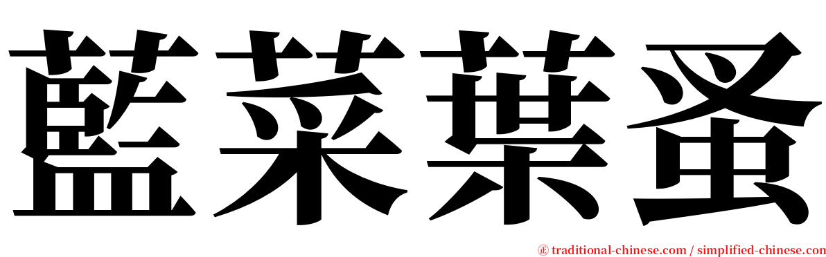 藍菜葉蚤 serif font