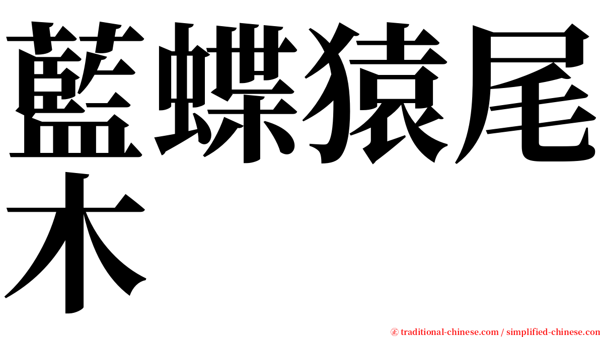 藍蝶猿尾木 serif font