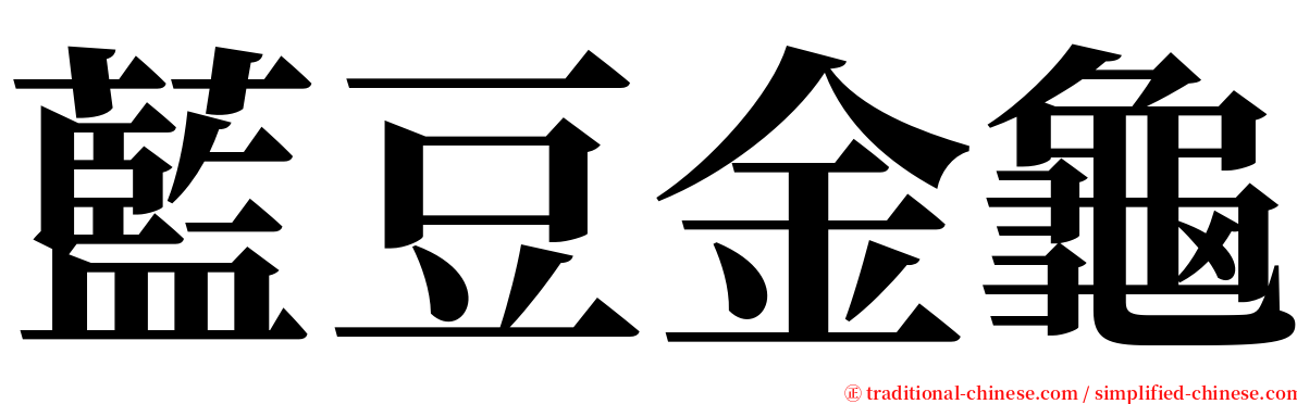 藍豆金龜 serif font