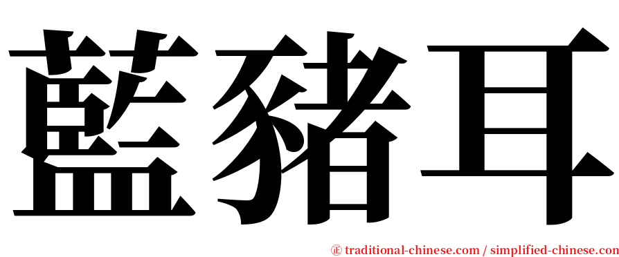 藍豬耳 serif font