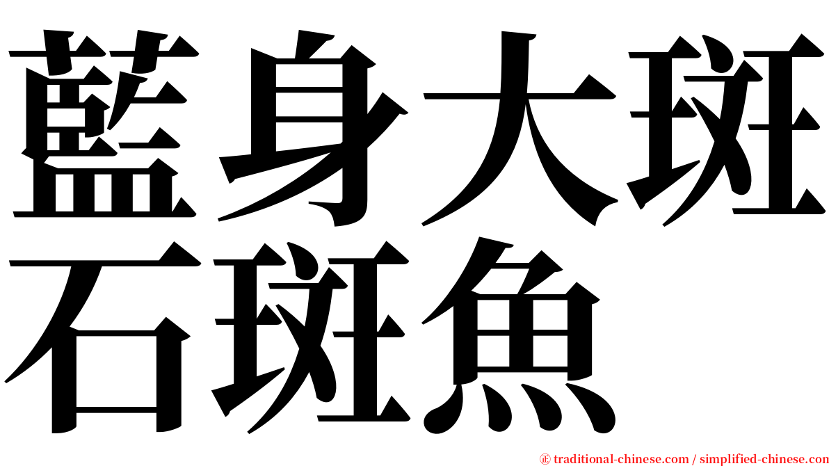 藍身大斑石斑魚 serif font