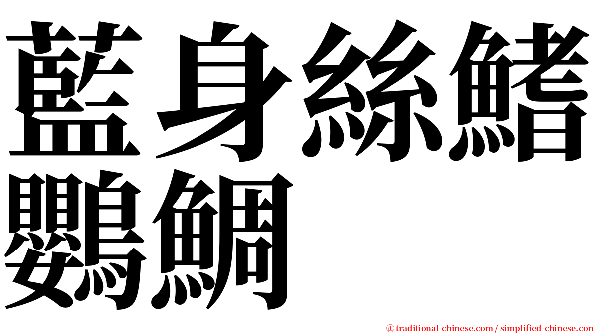 藍身絲鰭鸚鯛 serif font