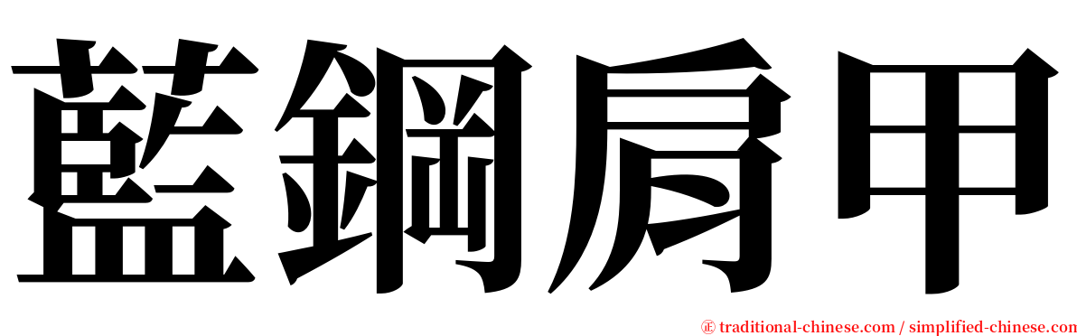 藍鋼肩甲 serif font