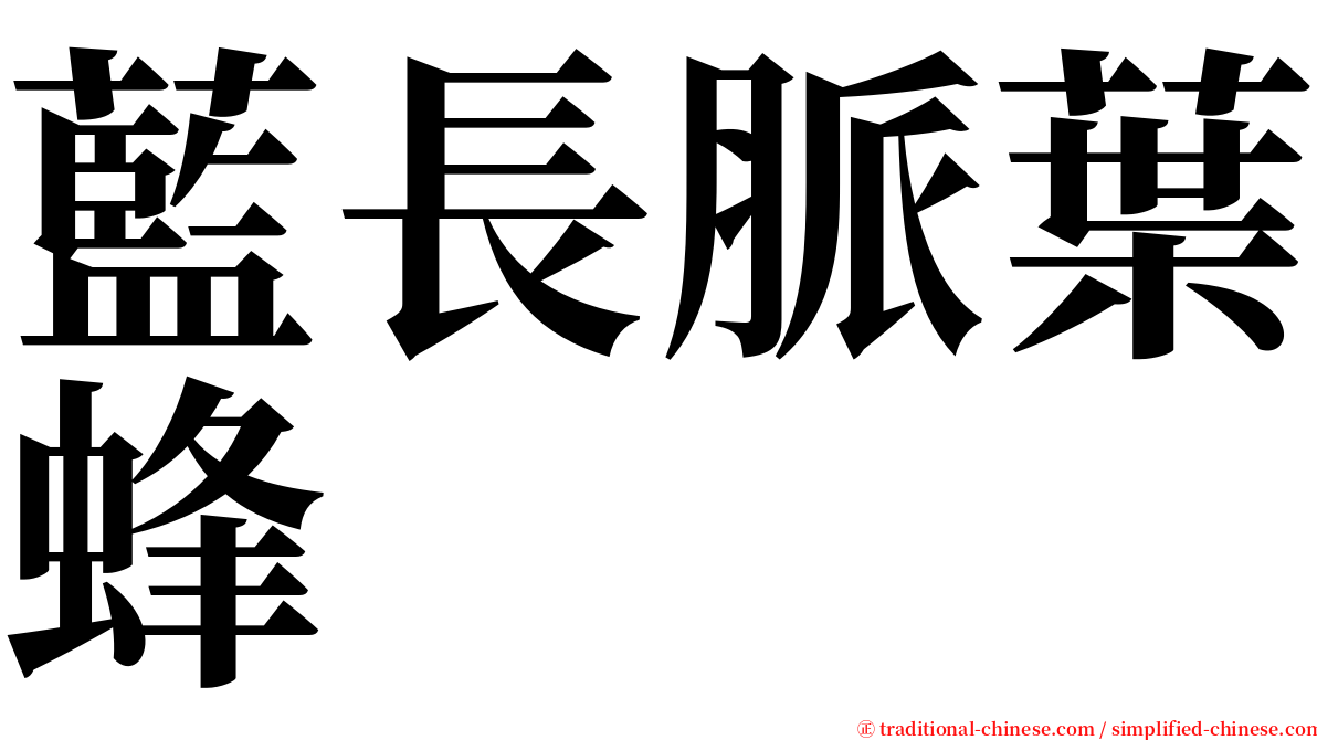 藍長脈葉蜂 serif font