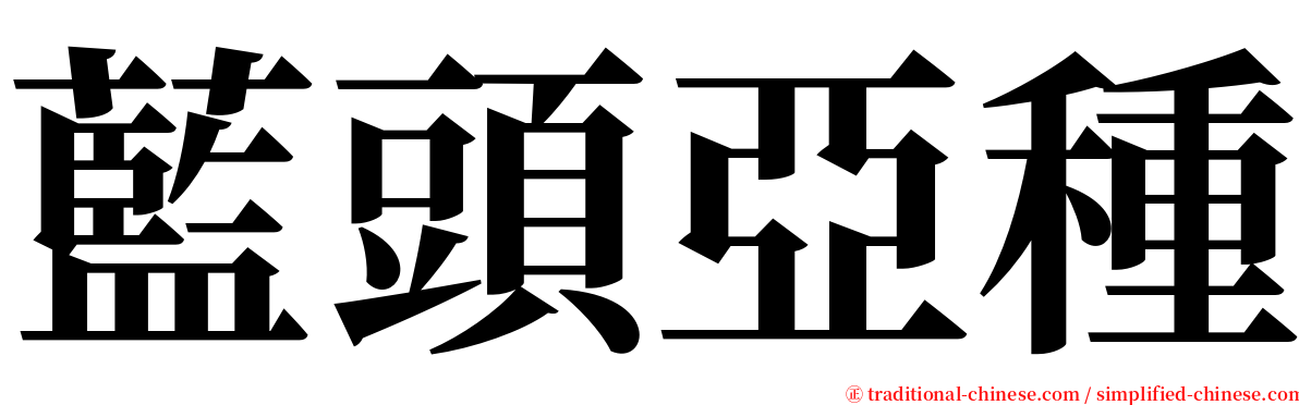 藍頭亞種 serif font