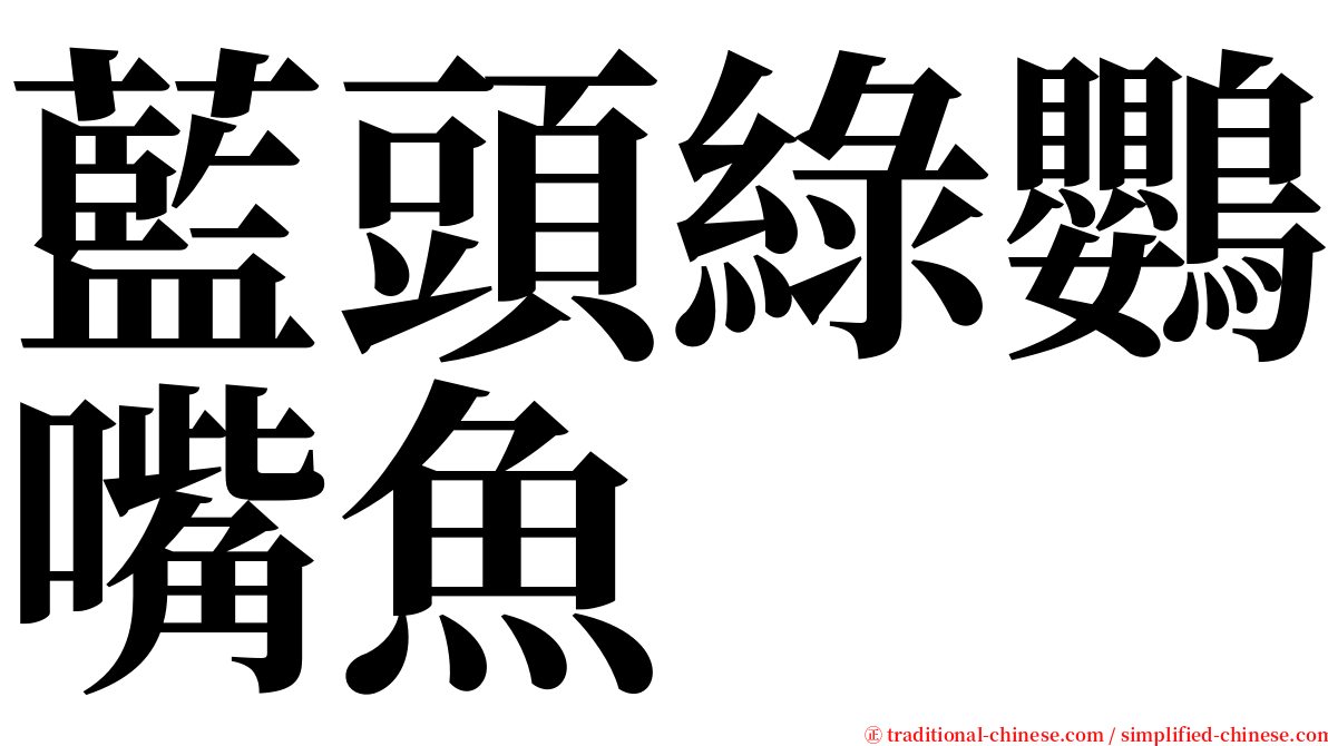 藍頭綠鸚嘴魚 serif font