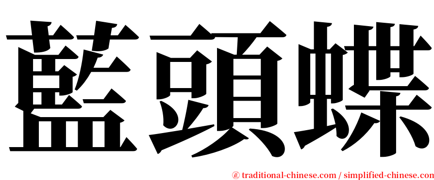 藍頭蝶 serif font