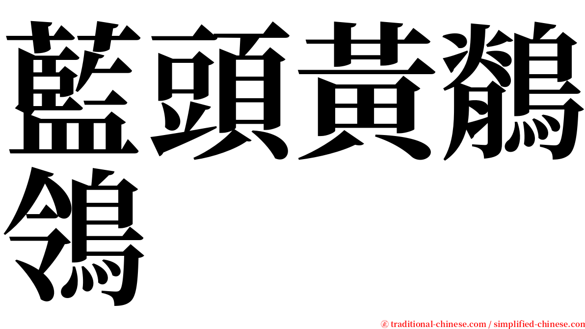 藍頭黃鶺鴒 serif font