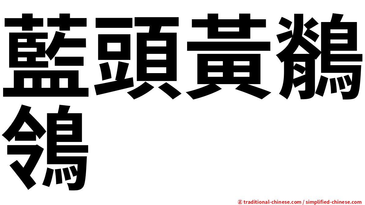 藍頭黃鶺鴒